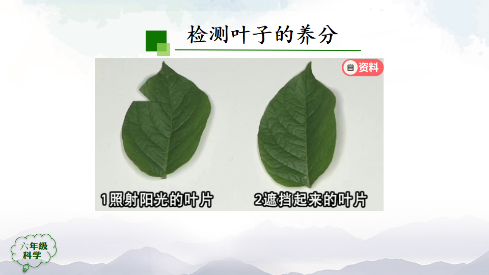 2.5 植物的光合作用第二课时 课件27张ppt 内嵌视频_06.png