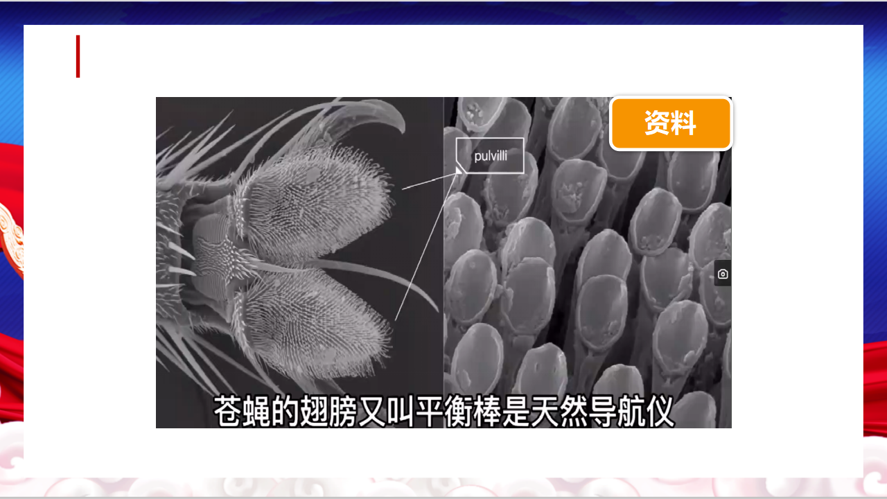 4.12认识飞行器（第二课时）_19.png
