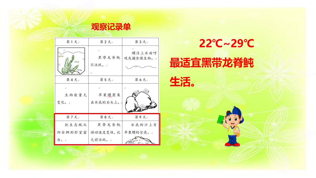 1生物的栖息地（第二课时）课件_16.png