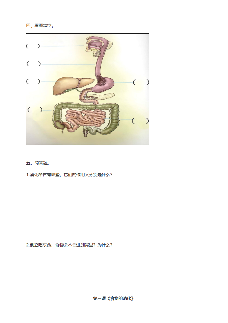 第03课《食物的消化》习题（含答案）_02.png