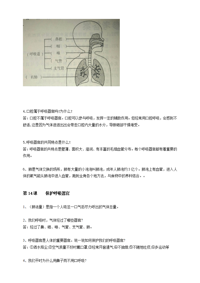 人教鄂教版三年级上册科学第四单元《我们的呼吸》知识梳理_02.png