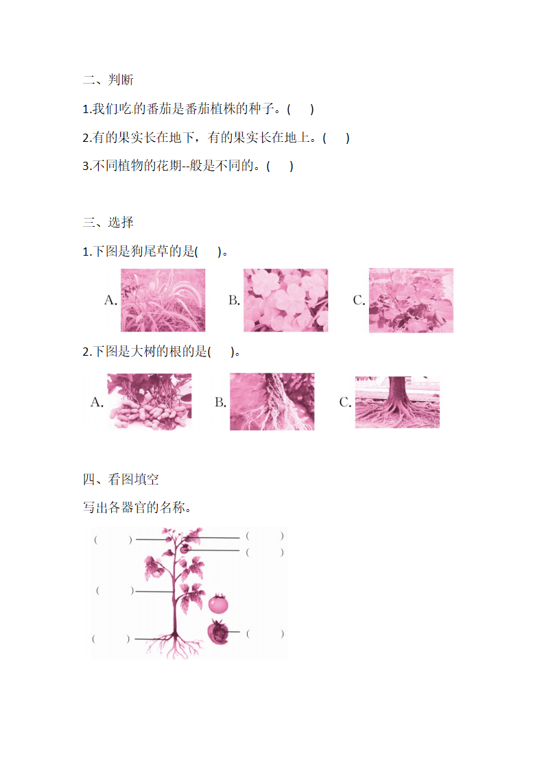 三年级下册科学导学精炼-4.1 植物的“身体” 湘科版（含答案）_02.png