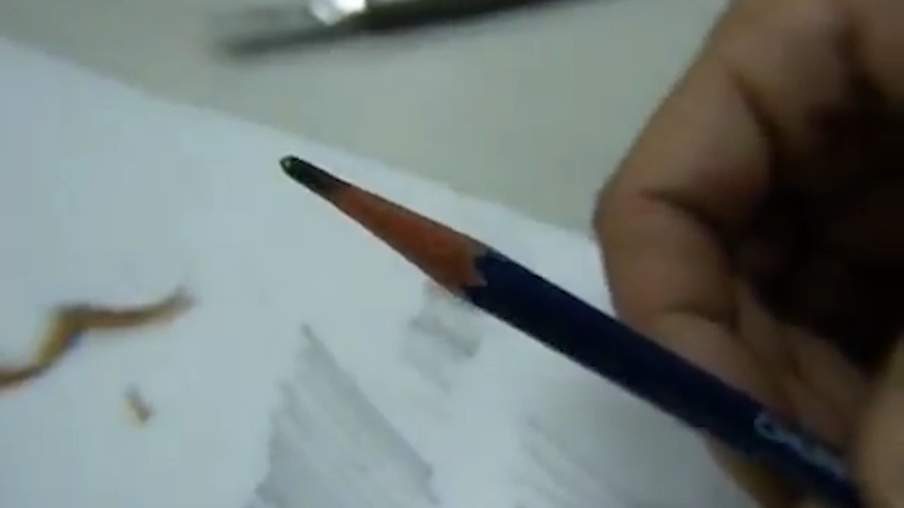 湖南科学技术出版社一上1-3给物体分类_06.png