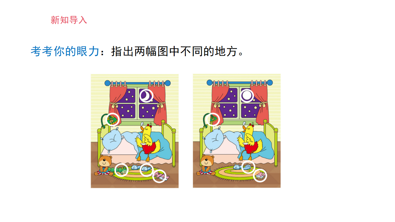 1.2《找相同和不同》课件-2024-2025学年一年级上册科学湘科版_03.png