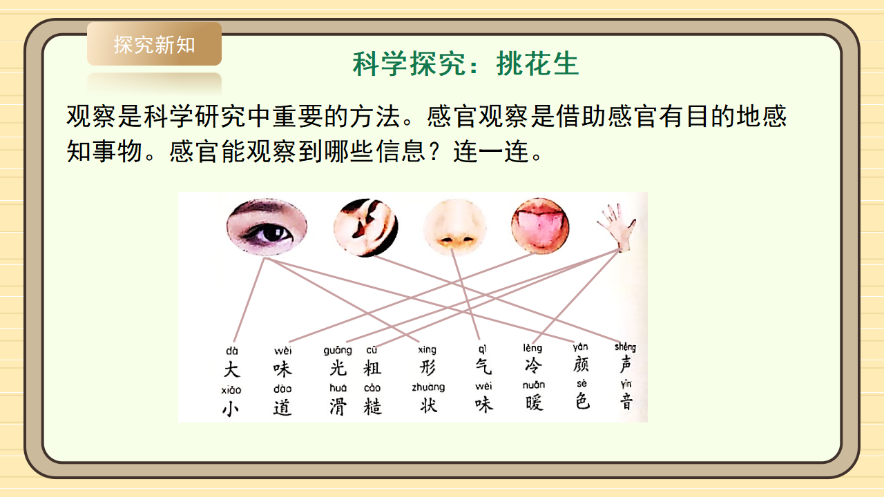 1.1《从观察开始》课件-2024-2025学年科学一年级上册湘科版 1_17.png