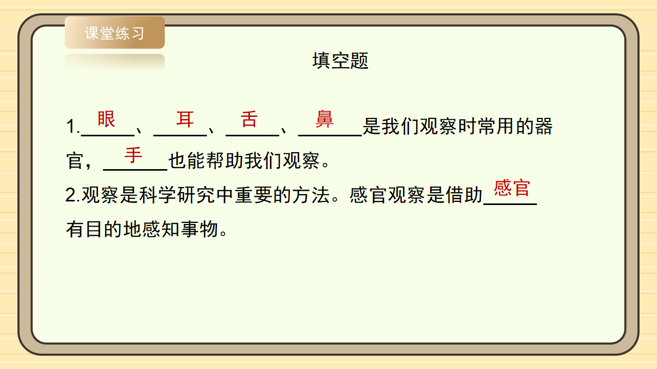 1.1《从观察开始》课件-2024-2025学年科学一年级上册湘科版 1_23.png