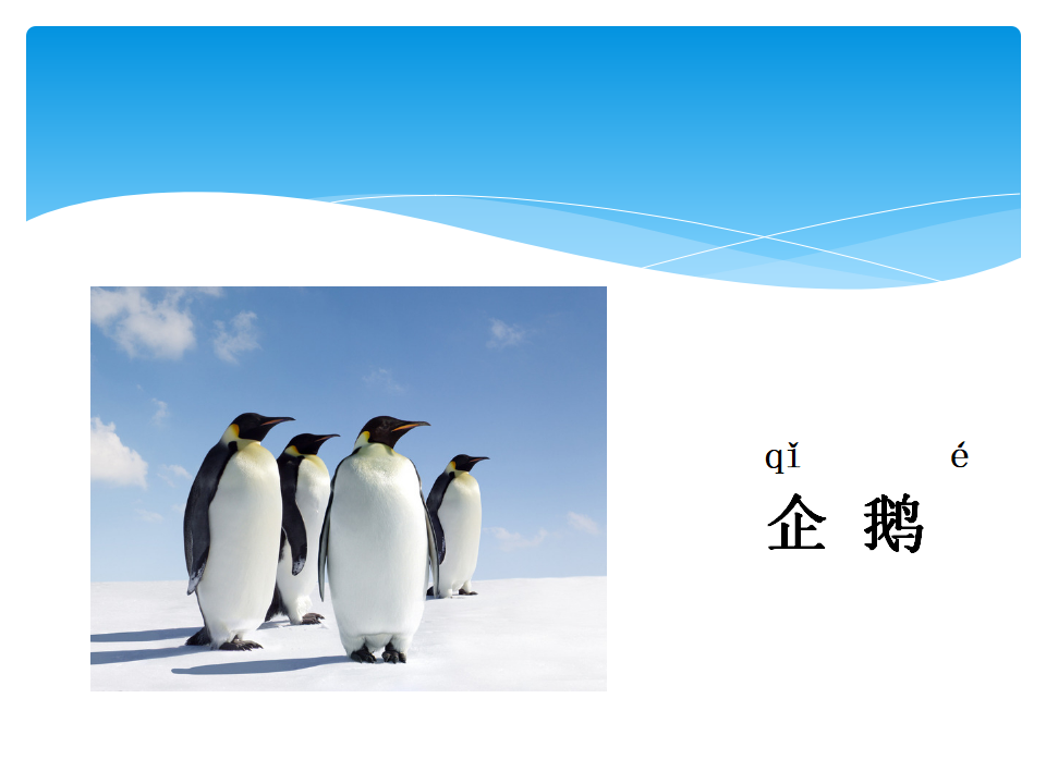 湘教版一年级下册科学课件3.3 动物的特征ppt01_09.png