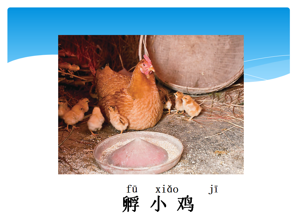 湘教版一年级下册科学课件3.2 观察身边的动物ppt01_14.png