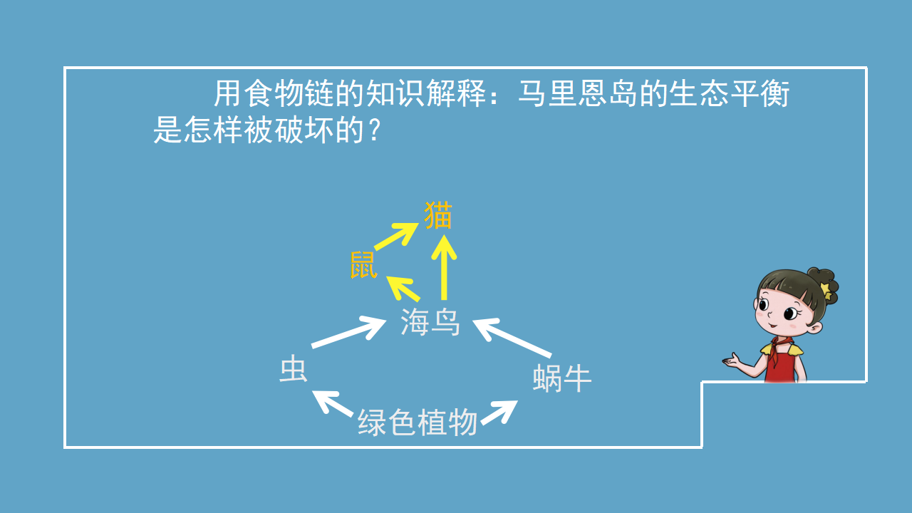【新版精品】六年级上册科学课件-1.3 保持生态平衡 湘科版_10.png