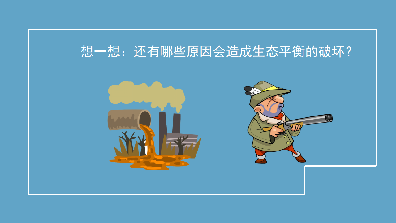 【新版精品】六年级上册科学课件-1.3 保持生态平衡 湘科版_14.png