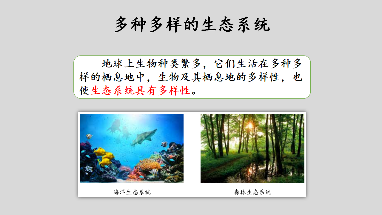 【新版精品】六年级上册科学课件-1.2 从吃与被吃说起 湘科版_17.png