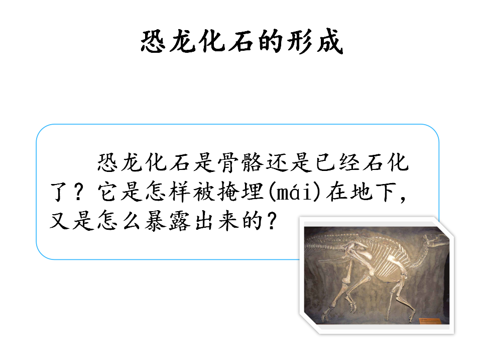 2.2恐龙的故事课件_06.png