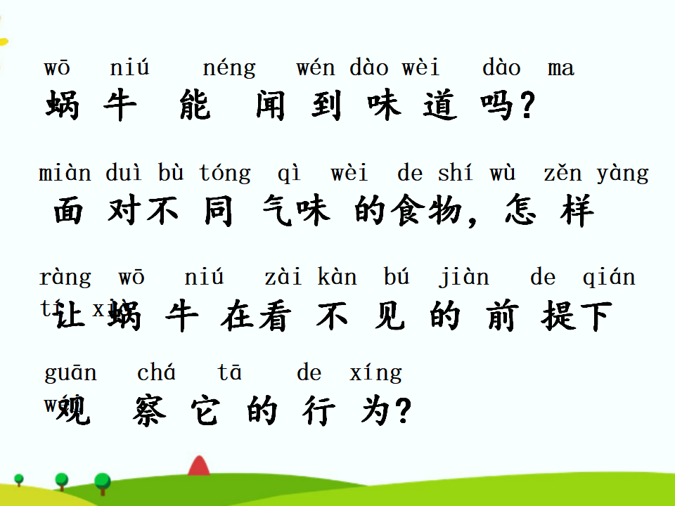 湘科版二年级上册科学2.2观察蜗牛的反应 课件共14张ppt_06.png