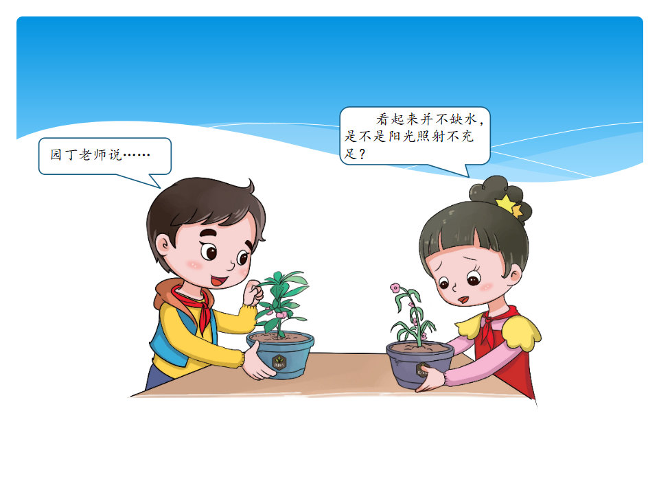 2.3植物生长需要什么 课件_05.png
