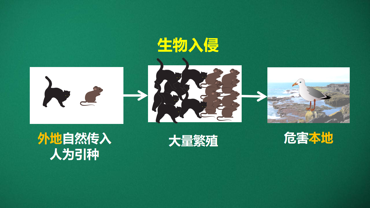 1.3 保持生态平衡_11.png