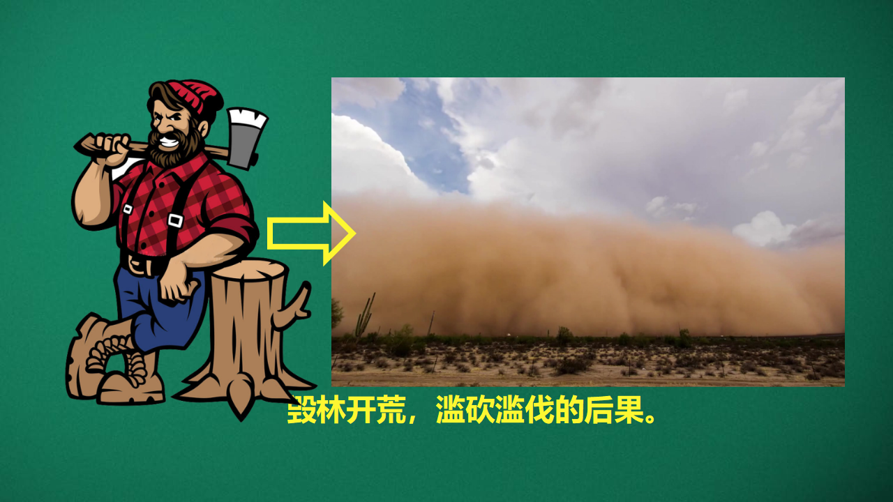 1.3 保持生态平衡_15.png