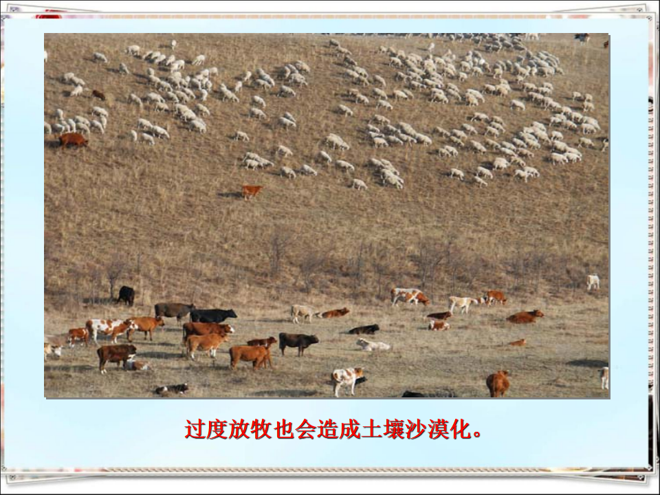 3.4 土壤的保护｜湘教版  共25张PPT_16.png