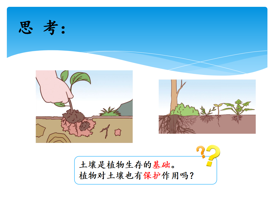 3.4 土壤的保护 ｜湘教版   共14张PPT_03.png