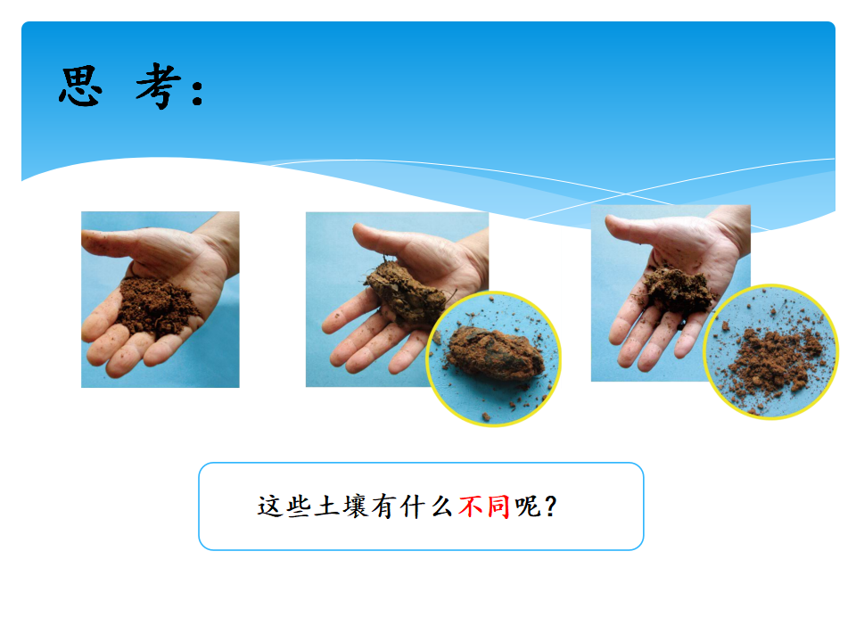 3.3土壤的种类 课件_04.png