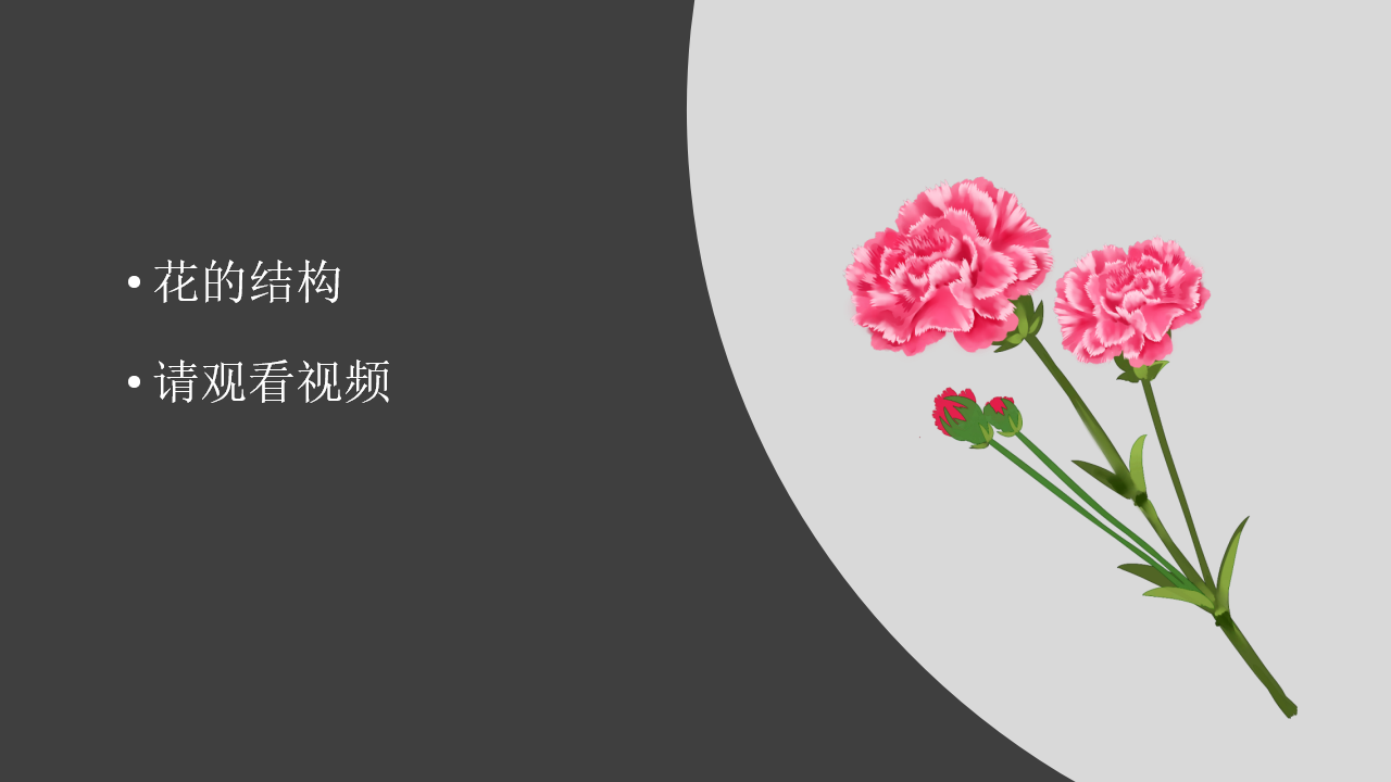 【视频引导 PPT】湘科版三下第5单元第3课-开花结果_03.png