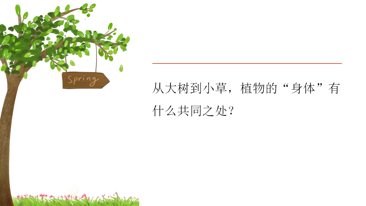 【视频引导 PPT】湘科版三下第4单元第1课-植物的“身体”_02.png