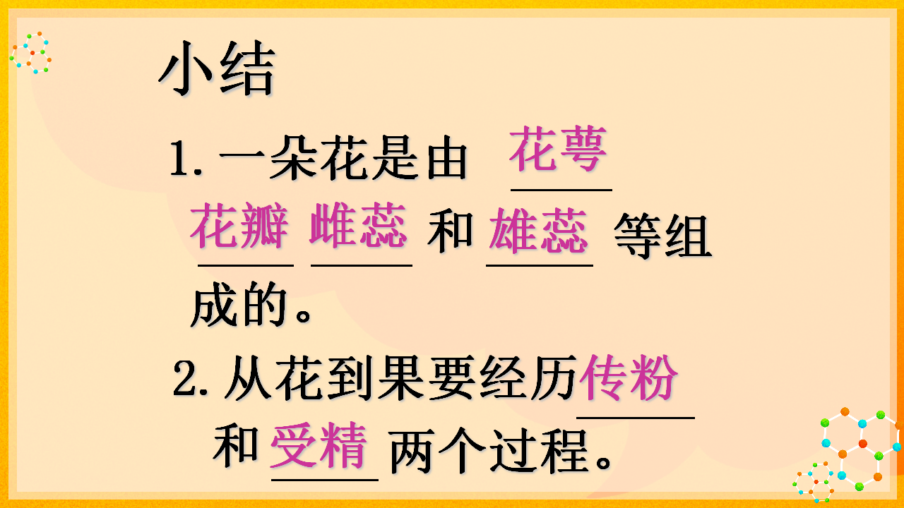5.3开花结果_15.png