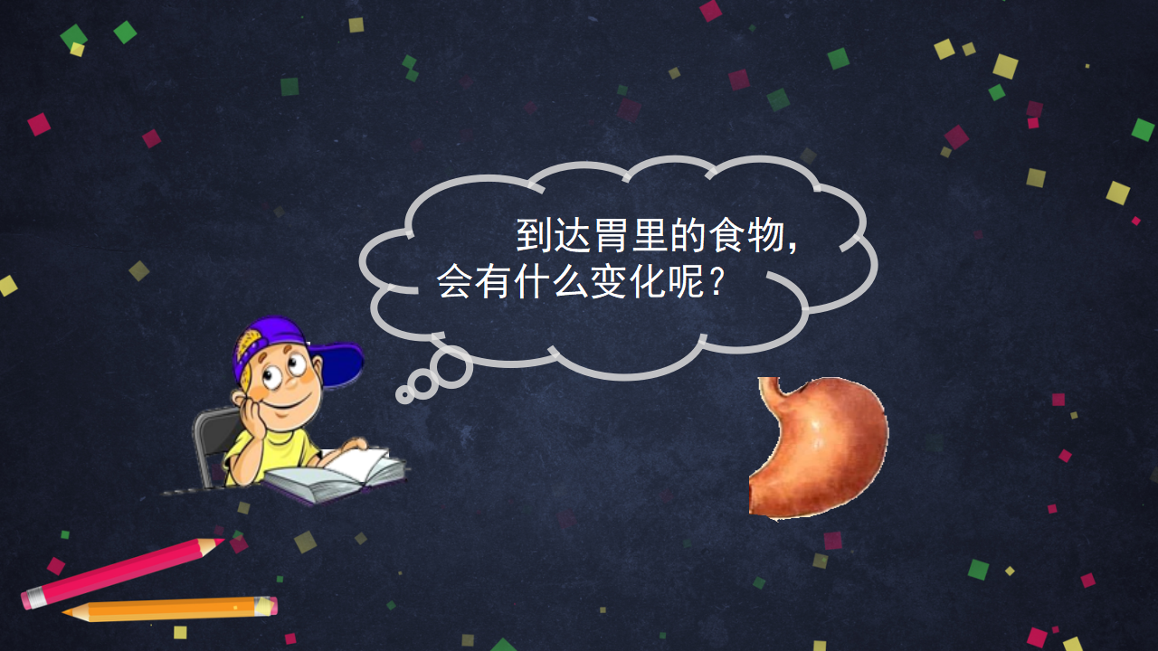 2.1 我们的消化 课件共46张PPT_31.png