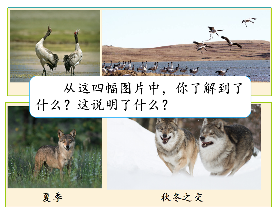 1 动物与环境_21.png