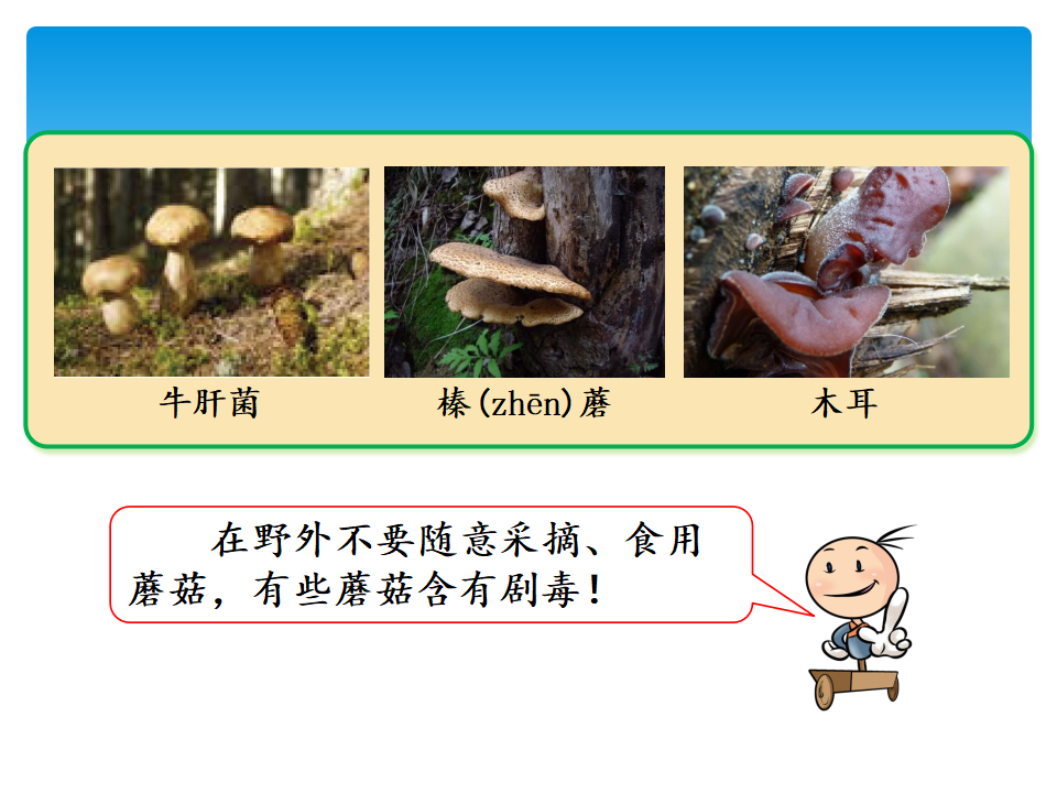 5·观察微生物_教学课件_17.png