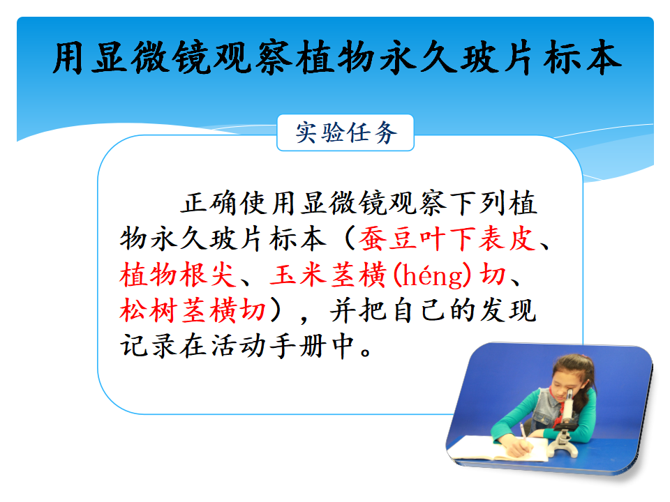 3·细胞_教学课件_04.png