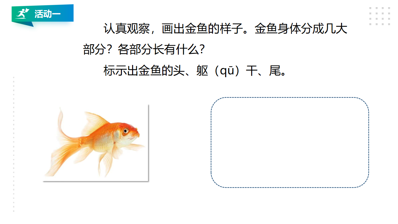 2.《鱼》PPT_06.png