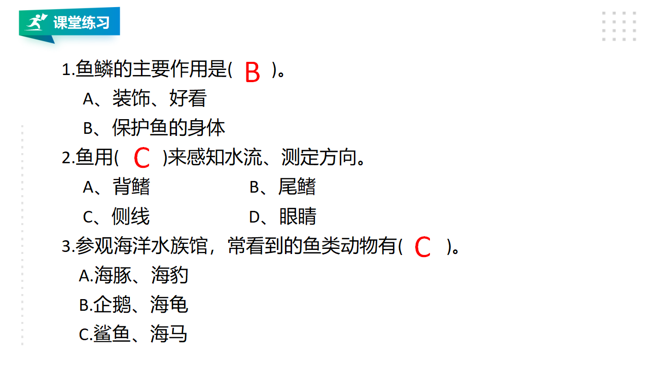 2.《鱼》PPT_13.png