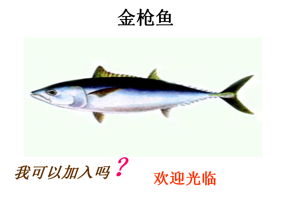 2.2 鱼  ｜湘科版  共28张PPT_26.png