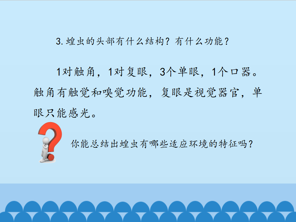 2.1 昆虫 ｜湘教版共19张PPT_09.png