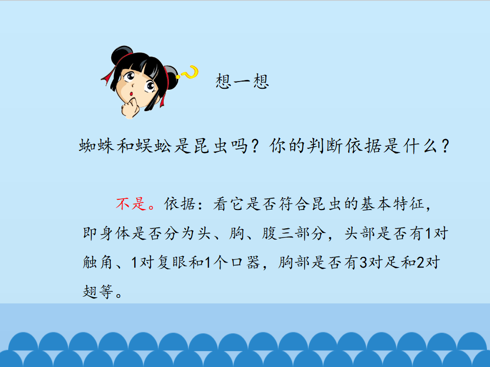 2.1 昆虫 ｜湘教版共19张PPT_11.png