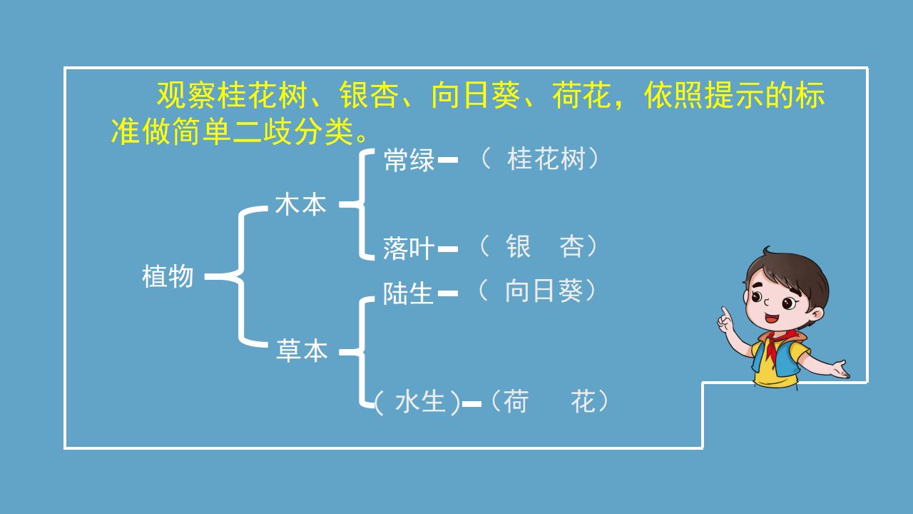 【新版精品】六年级上册科学课件-1.1 阳光下的植物 湘科版_19.png
