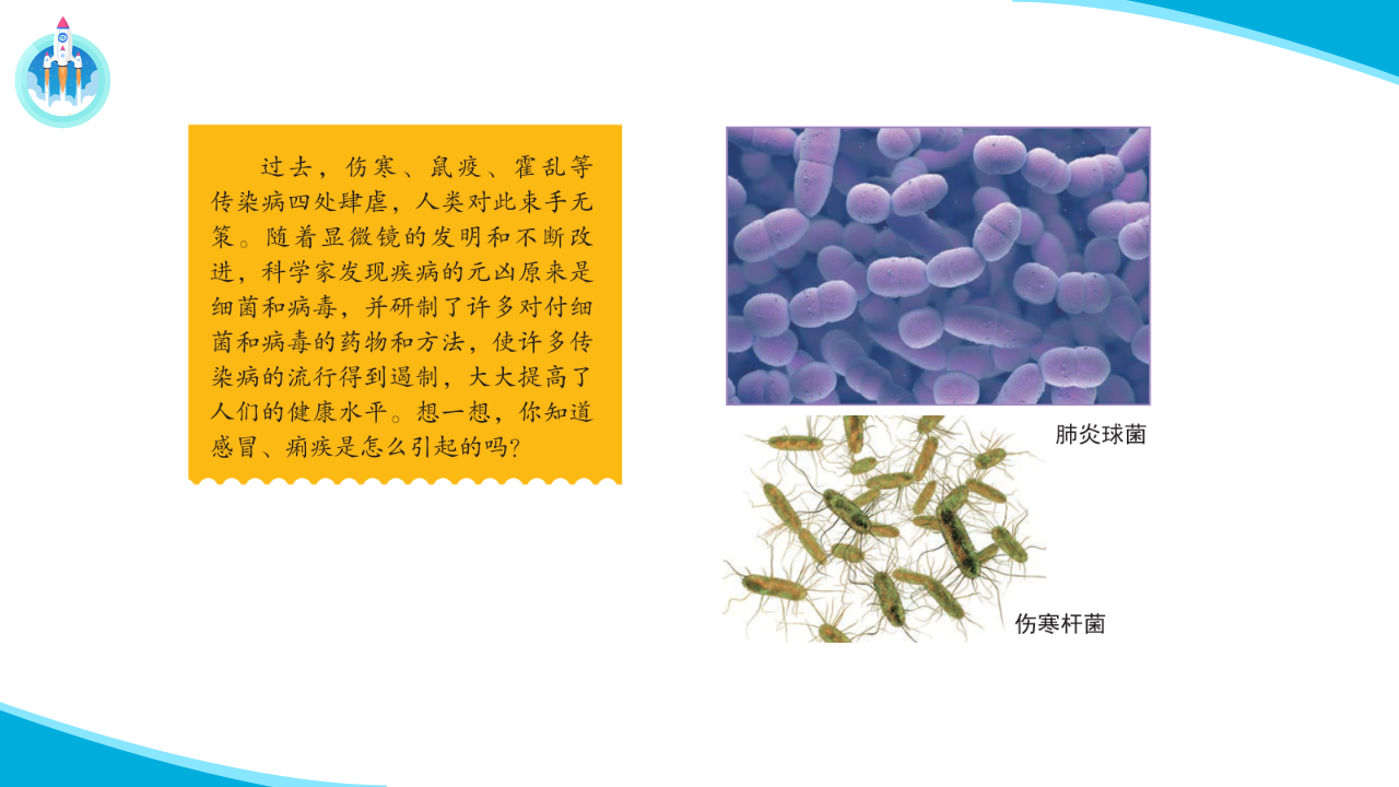 2.4传染病的防控（课件）_28.png