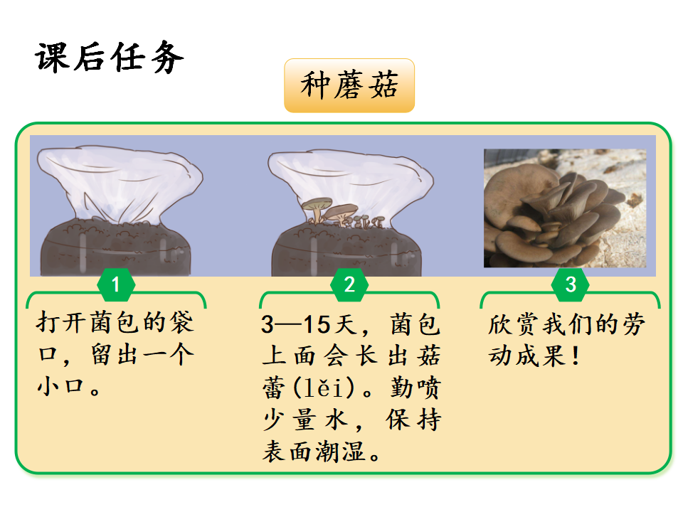 2.2观察微生物课件_19.png