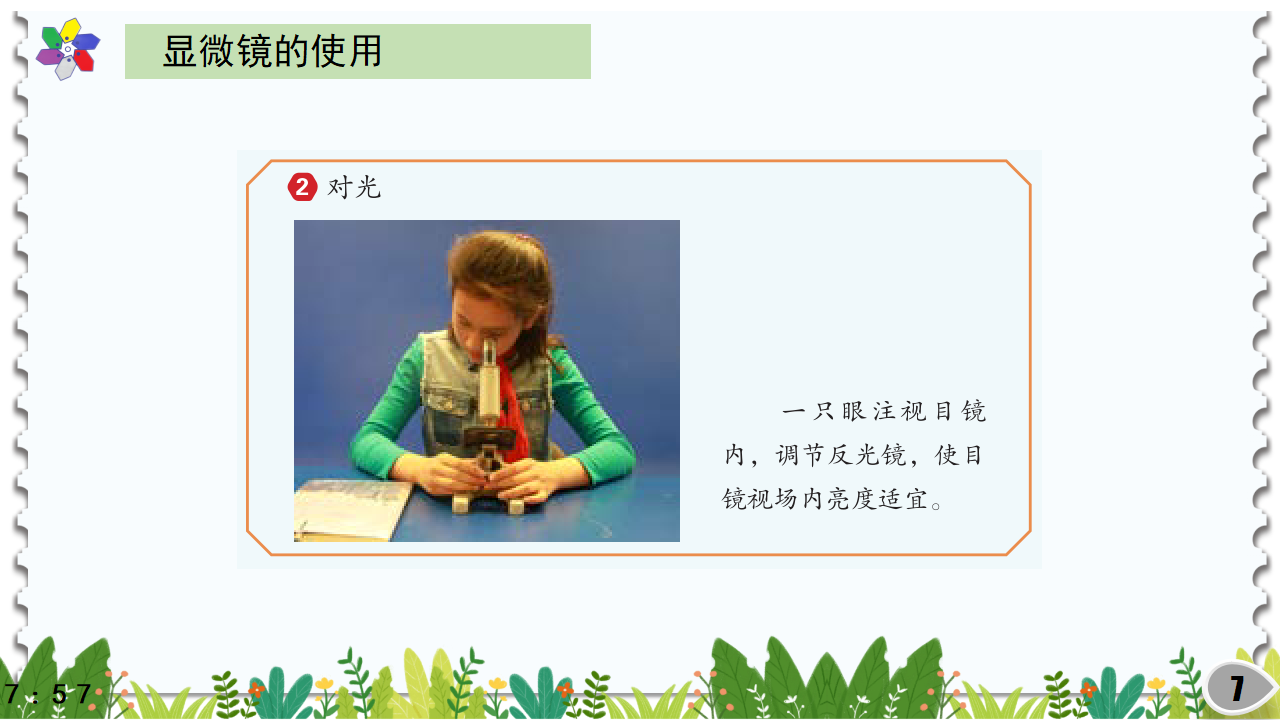 1.2洋葱表皮的秘密（课件）_07.png