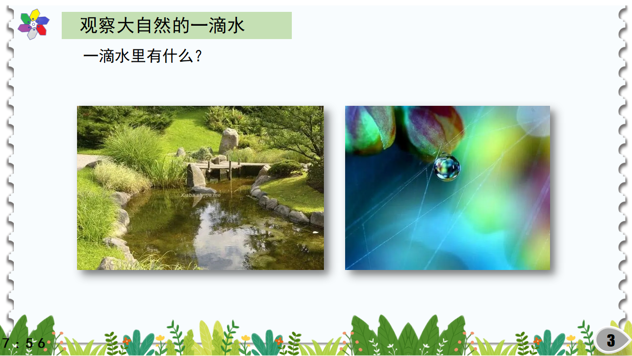 1.1神奇的显微镜（课件）_03.png