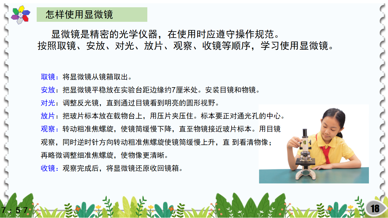 1.1神奇的显微镜（课件）_18.png