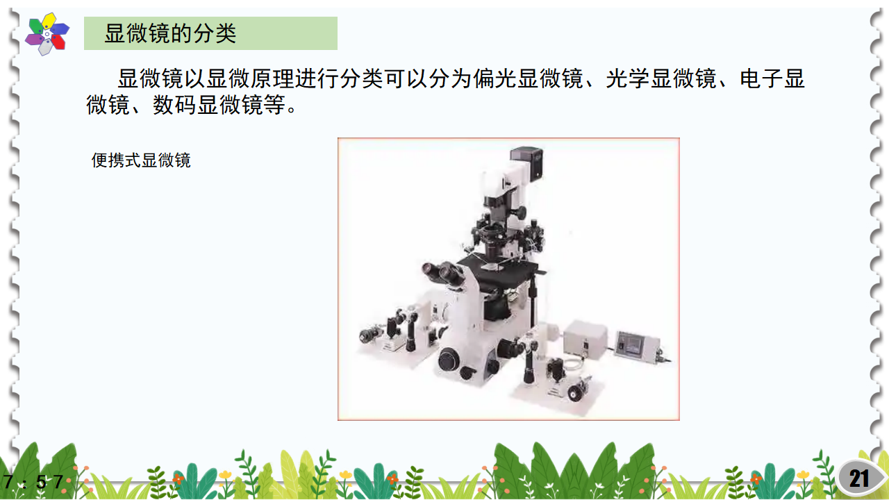 1.1神奇的显微镜（课件）_21.png