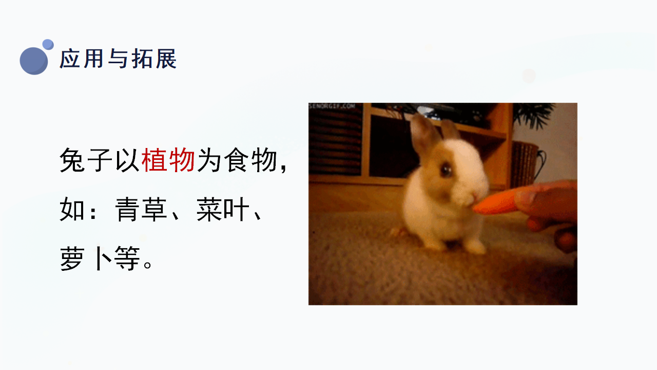 8.《认识动物》（课件）一年级上册科学冀人版_22.png