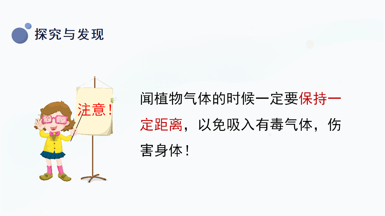 5.《认识植物》（课件）一年级上册科学冀人版_16.png