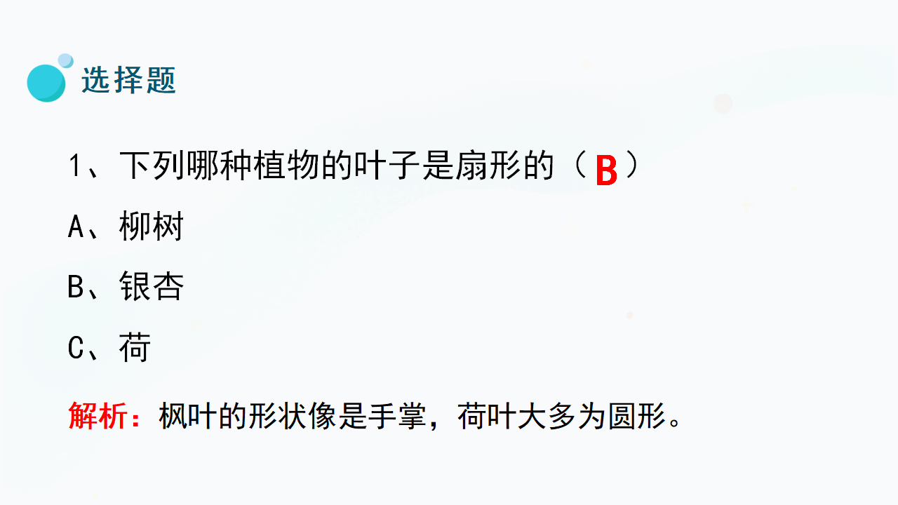 5.《认识植物》（课件）一年级上册科学冀人版_26.png