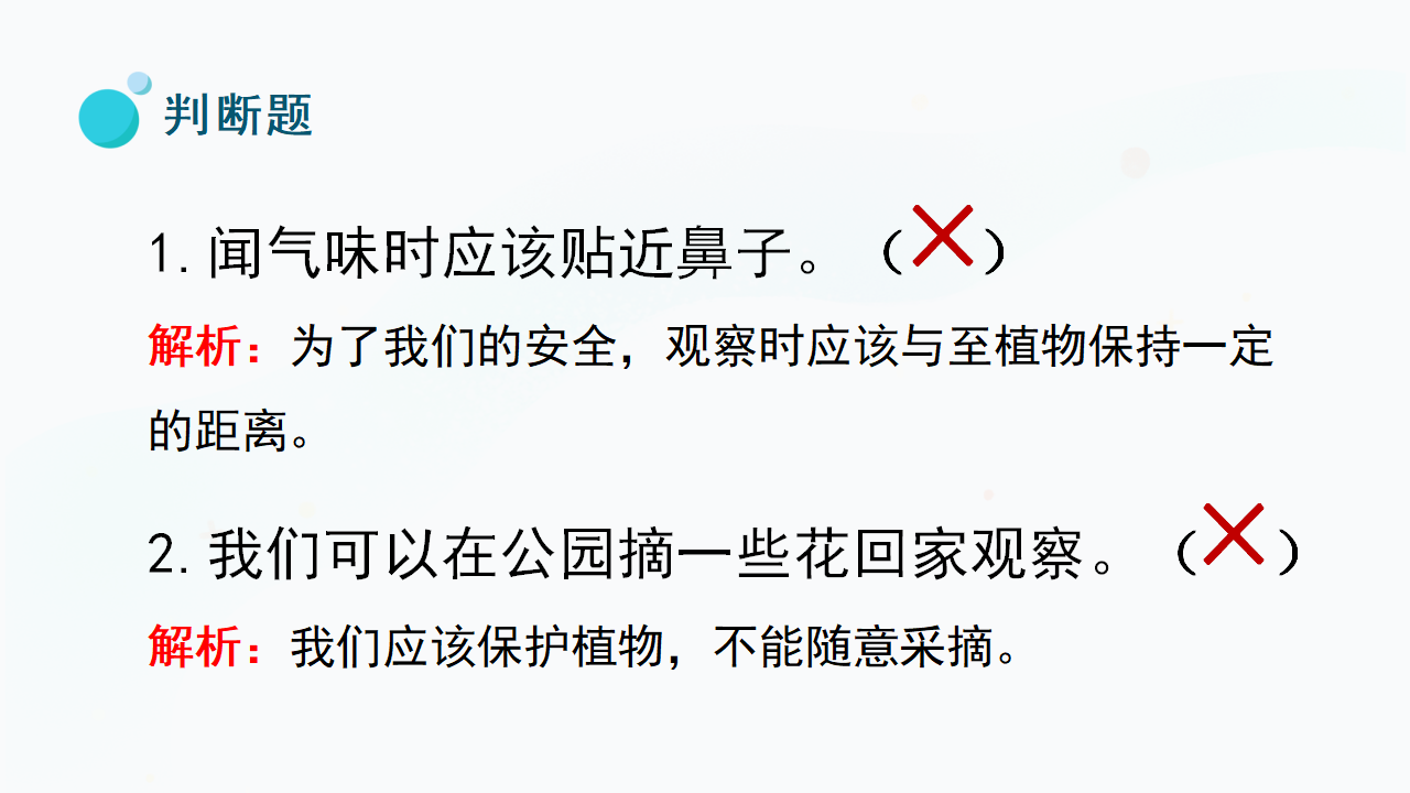 5.《认识植物》（课件）一年级上册科学冀人版_25.png