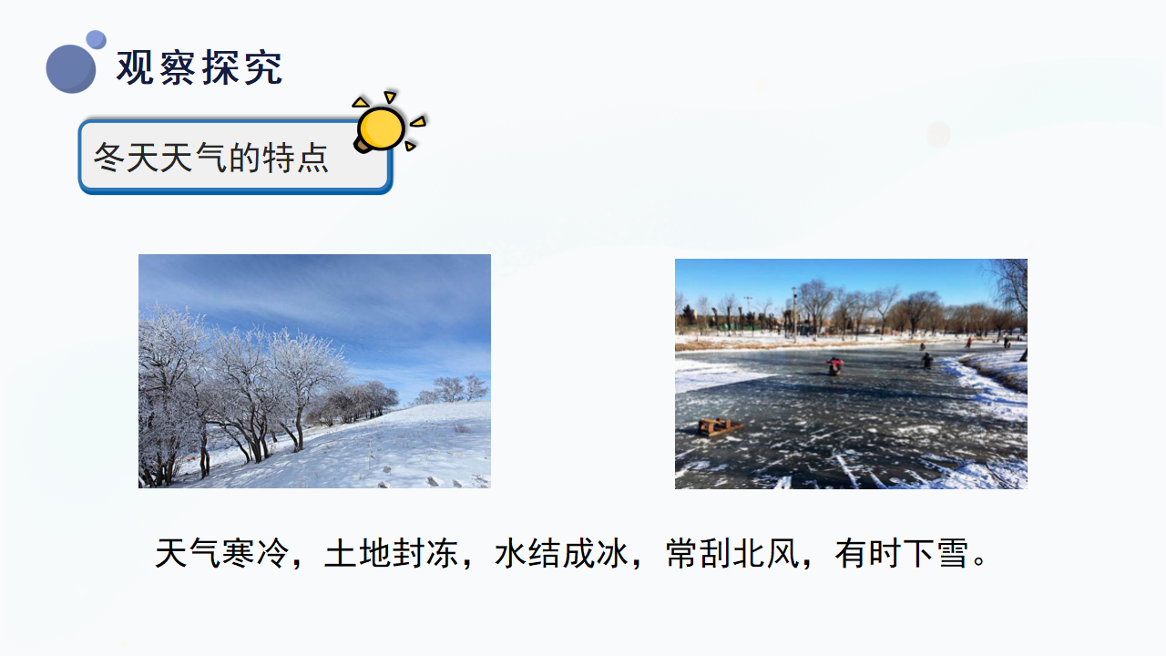 9.《寒冷的冬天》（课件）-二年级上册科学冀人版_21.png