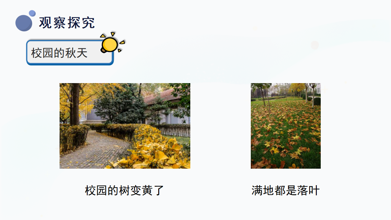 7.《秋天到了》（课件）-二年级上册科学冀人版_11.png