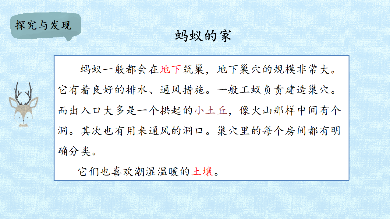 二年级下册科学课件-7 寻找蚂蚁的家-冀人版共19张PPT_06.png