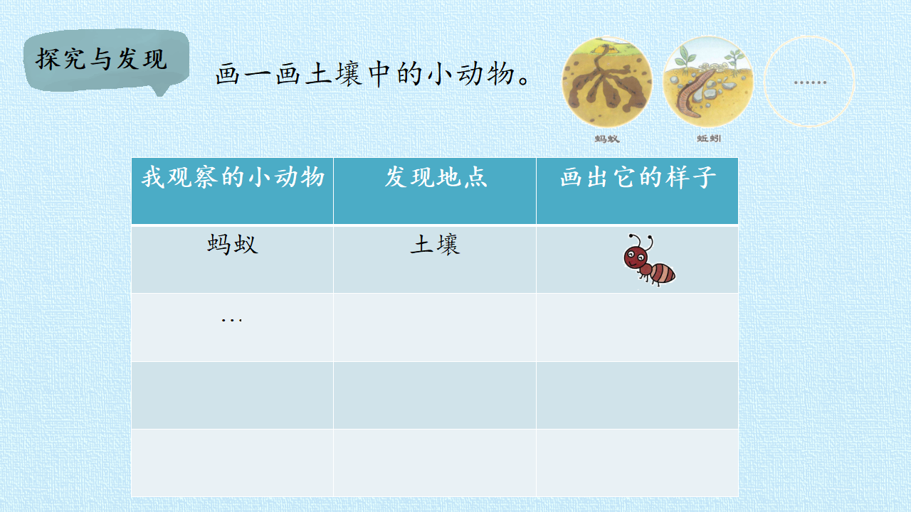 二年级下册科学课件-7 寻找蚂蚁的家-冀人版共19张PPT_11.png